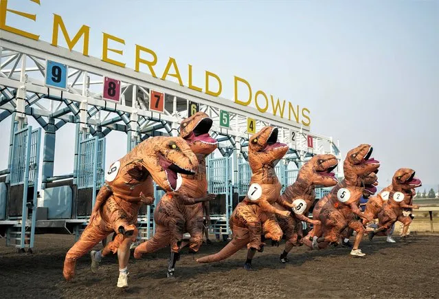 Racers, including eventual winner Ocean Kim (5), leave the gates for the championship race during the “T-Rex World Championship Races” at Emerald Downs, Sunday, August 20, 2023, in Auburn, Wash. (Photo by Lindsey Wasson/AP Photo)