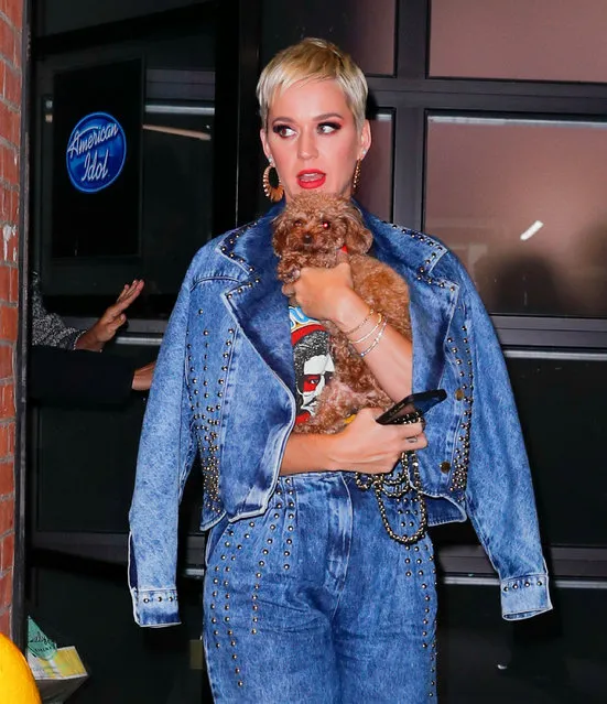 Katy Perry leaves “American Idol” auditions with her dog Nugget on October 30, 2018 in New York City. (Photo by Gotham/GC Images)