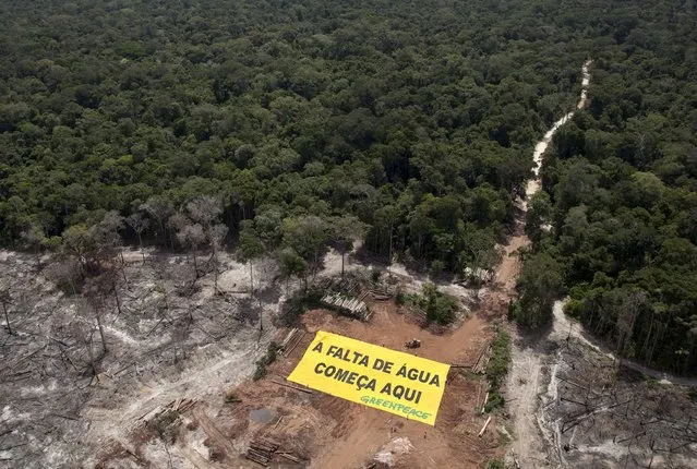 Greenpeace activists display a banner that reads “The water shortage starts here”, at an illegal deforestation area in Rorainopolis, Roraima state, April 9, 2015, in this handout photo provided by Greenpeace. (Photo by Marizilda Cruppe/Reuters/Greenpeace)
