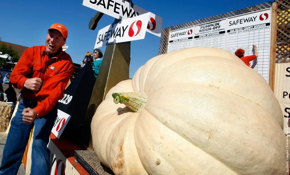 Largest Pumpkin