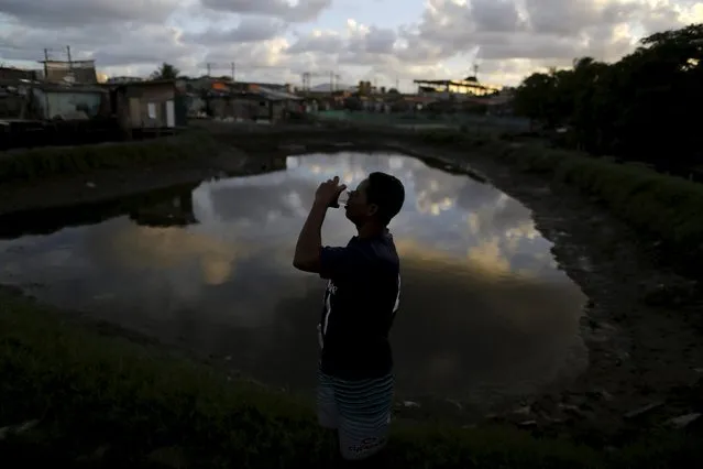 Ivanildo drinks water in front of her stilt house at a lake dwelling also known as palafitte or “Palafito” in Recife, Brazil, March 1, 2016. (Photo by Ueslei Marcelino/Reuters)