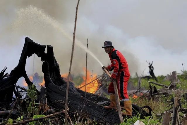 A fire fighter tries to put out a fire on land intended for a palm oil plantation in the village of Tanjung Palas, Dumai, Riau province, Sumatra, Indonesia in this photo taken by Antara Foto on March 5, 2016. Indonesia's western province of Riau has declared a state of emergency over forest and land fires blazing on the island of Sumatra, a government official said on Tuesday. (Photo by Aswaddy Hamid/Reuters/Antara Foto)