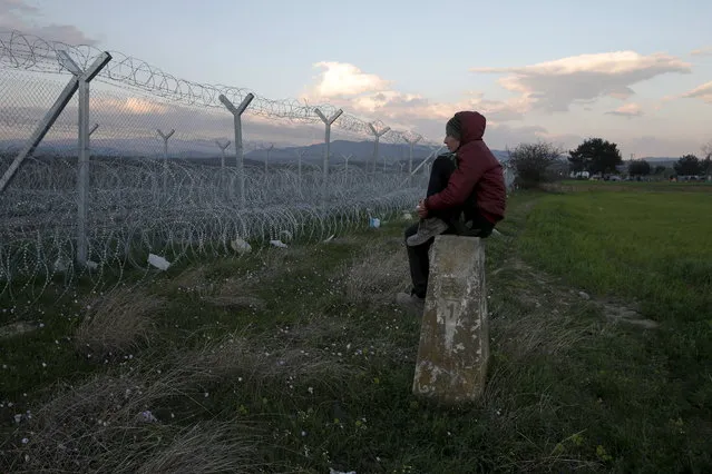 A man looks at the Greek-Macedonian border fence near a makeshift camp for migrants and refugees near the village of Idomeni, Greece, March 25, 2016. (Photo by Marko Djurica/Reuters)