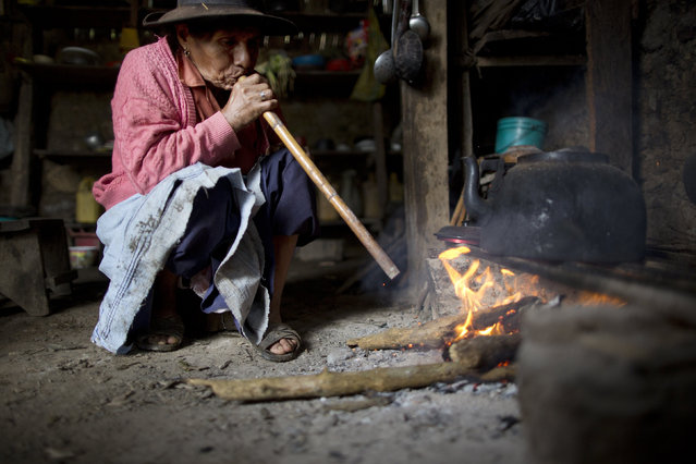 In this March 15, 2015 photo, Rufina Galvez blows into a cane reed to stoke a fire while preparing a special chicken broth to mark the second anniversary of her son's death, in La Mar, province of Ayacucho, Peru. He adored her, ferrying her around Ayacucho on his blue motorcycle, buying her groceries, making sure she always had cell phone minutes, she said. (Photo by Rodrigo Abd/AP Photo)