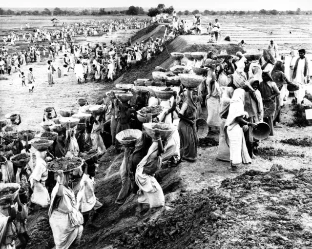Hundreds of men, women, and children work to clear earth for a mile long bank to catch water for irrigation in the village of Vaini, India on December 8, 1966. The bank will be used to divert water from a local stream to irrigate the drought-ridden area. (Photo by AP Photo)