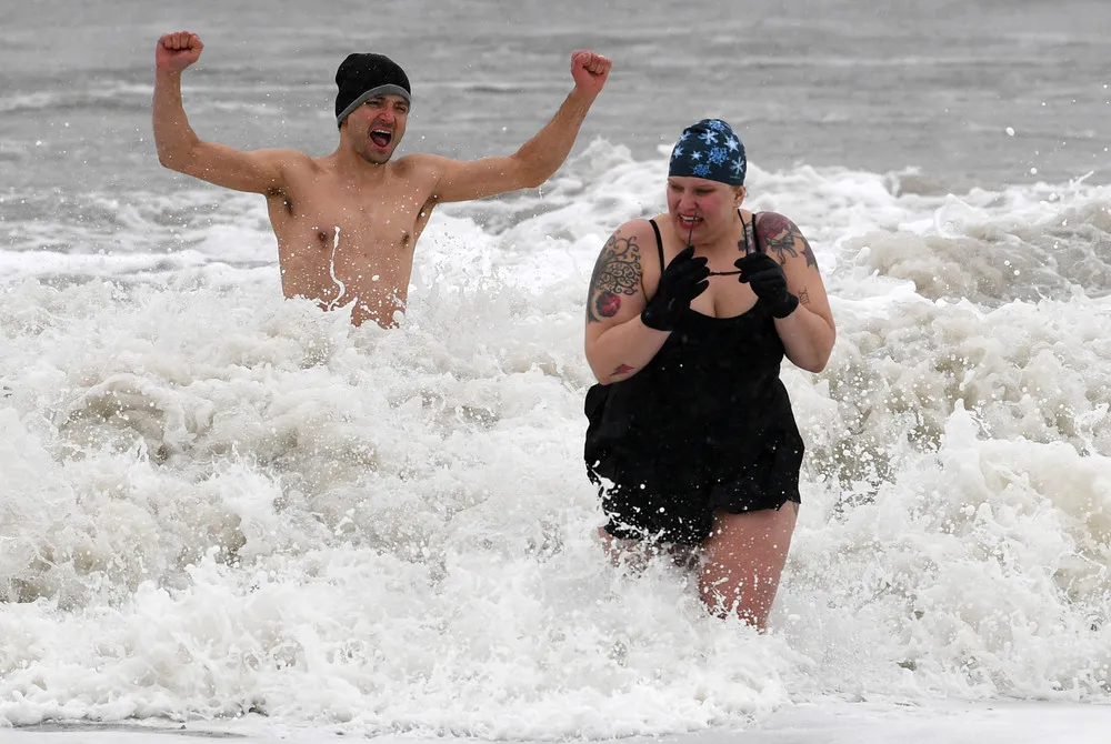 Brave Coney Island Polar Bears