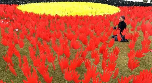 Jane Powles, national campaign manager for ANTAR, takes photos in a huge art installation called “Sea of Hands” which consists of thousands of hands in the colours of the Aboriginal flag – red, yellow, black. Part of National Reconciliation Week 2016, the installation is for Australians to reflect on Australia's national identity and the place of Aboriginal and Torres Strait Islander histories and cultures in the nation's story. (Photo by William West/AFP Photo)