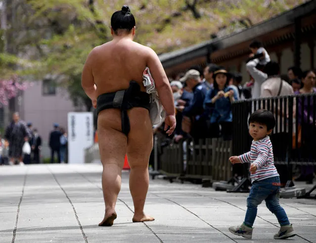 A young boy follows a sumo wrestler as he walks past spectators in a compound of Yasukuni Shrine in Tokyo on April 17, 2017. Sumo's top wrestlers took part in an annual one-day exhibition for thousands of spectators within the shrine's precincts. (Photo by Toshifumi Kitamura/AFP Photo)