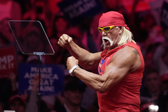 Hulk Hogan on stage before Republican presidential nominee former President Donald Trump at a campaign rally at Madison Square Garden, Sunday, October 27, 2024, in New York. (Photo by Evan Vucci/AP Photo)