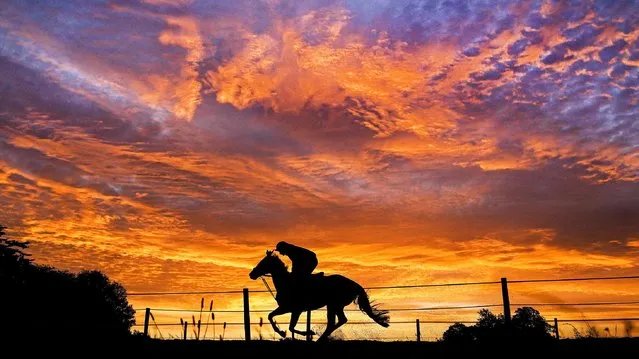 A horse exercises at Sam Drinkwater's Granary Stables in Strensham, Worcestershire, United Kingdom on Wednesday, November 17, 2021. (Photo by David Davies/PA Images via Getty Images)