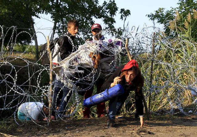 Syrian migrants cross under a fence as they enter Hungary at the border with Serbia, near Roszke, August 27, 2015. (Photo by Bernadett Szabo/Reuters)
