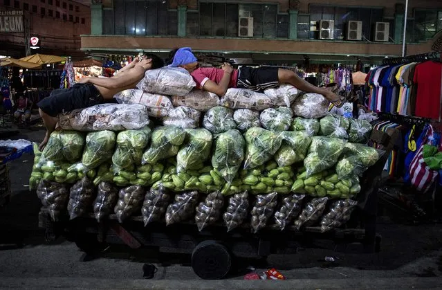 Workers sleep on top of vegetables on a wooden cart in Divisoria market in Manila on September 4, 2017. (Photo by Noel Celis/AFP Photo)