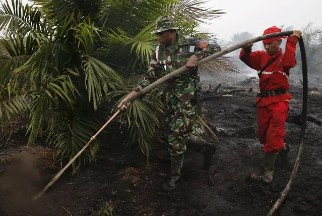 An Indonesian soldier and a firefighter hold a water pipe as they extinguish the fire at palm oil plantations at the Padamaran village in Ogan Komering Ilir district, Indonesia's South Sumatra province September 12, 2015. Indonesian islands are blanketed in the so-called “haze”, caused by slash-and-burn clearances on the islands of Sumatra and Borneo, which makes thousands sick, delays flights and pushes air quality to unhealthy levels in neighboring Singapore and Malaysia. (Photo by Reuters/Beawiharta)