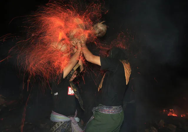 Balinese men lashing burning coconut husks off each other during “Mesabatan Api”, a sacred firefighting ritual at a Hindu temple in Bali, Indonesia, Wednesday October 8, 2014. (Photo by Firdia Lisnawati/AP Photo)