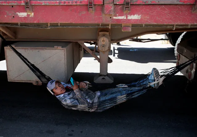 A truck driver rests during the road blockade by independent miners protesting against Bolivia's President Evo Morales' government policies near Panduro south of La Paz, Bolivia, August 25, 2016. (Photo by David Mercado/Reuters)