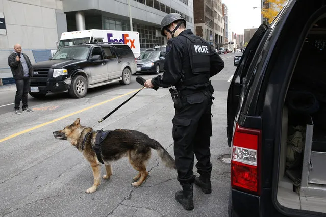 A Ottawa police officer prepares a service dog following shooting incidents in downtown Ottawa October 22, 2014. (Photo by Blair Gable/Reuters)