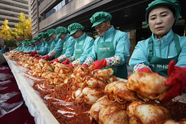 Executives of the Hana Financial Group make kimchi, a traditional pungent vegetable dish, to donate to needy neighbors, at the group's headquarters in Seoul, South Korea, Friday, November 11, 2022. About 300 employee made more than 4,000 packets of kimchi, made primary with cabbage, other vegetables and chili sauce. Kimchi is the most popular traditional food in Korea. (Photo by Ahn Young-joon/AP Photo)