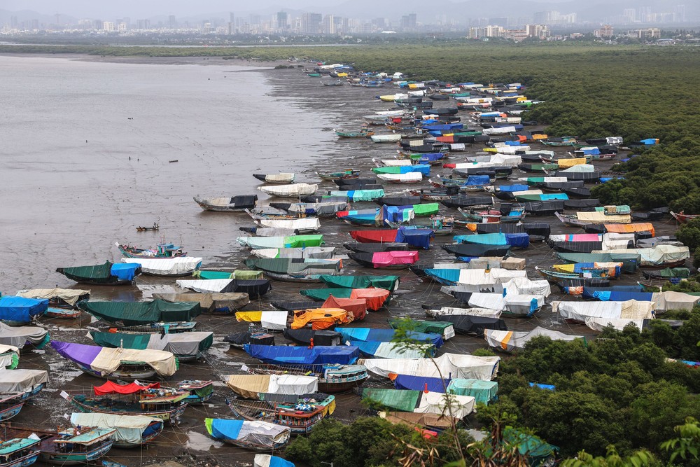 A Look at Life in India