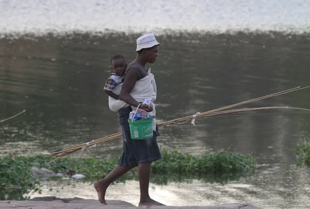 In this photo taken Monday, November 3, 2014, a woman with a child on her back leaves the shores of  Lake Chivero, west of Harare, with her fishing rods and bucket of her day's catch. (Photo by Tsvangirayi Mukwazhi/AP Photo)