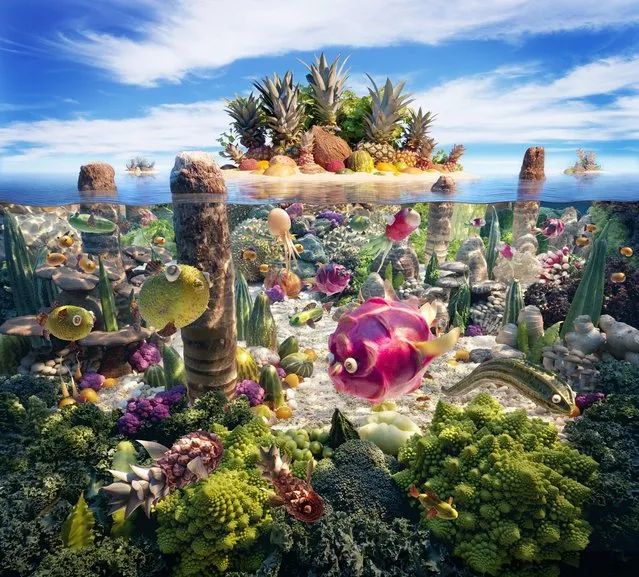 “Coralscape”. (Photo by Carl Warner)