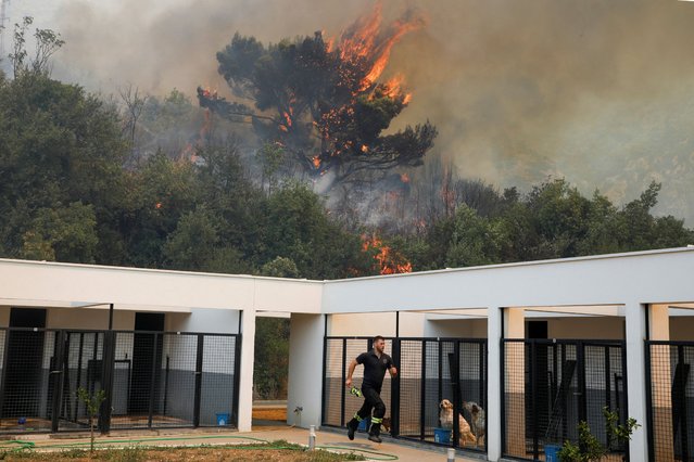 A firefighter runs near caged abandoned animals as fire rises above beach villages, Buljarica and Canj, as the temperature rises during a heatwave, near Bar, Montenegro, on August 11, 2025. (Photo by Stevo Vasiljevic/Reuters)