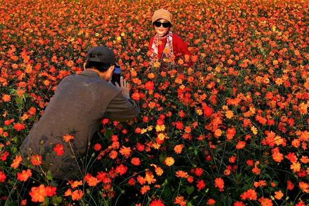 People take a photo on a flower field in Kaohsiung, Taiwan on January 12, 2023. (Photo by Ann Wang/Reuters)