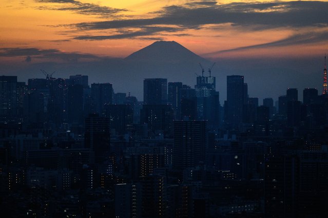 Mount Fuji and city's skyline are pictured from Tower Hall Funabori Observation Deck in Edogawa district of Tokyo on November 12, 2025. (Photo by Philip Fong/AFP Photo)