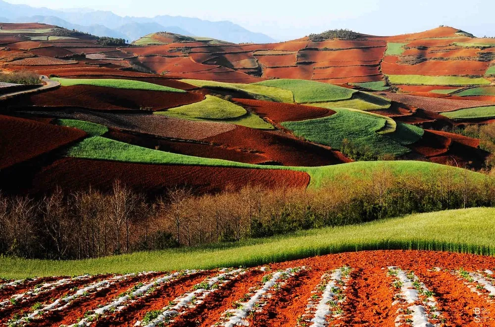 Dongchuan Red Lands, China