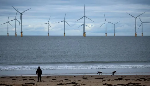 A man walks his dogs on the beach in front of Teesside Wind Farm in Redcar, Britain on November 7, 2023. (Photo by Phil Noble/Reuters)
