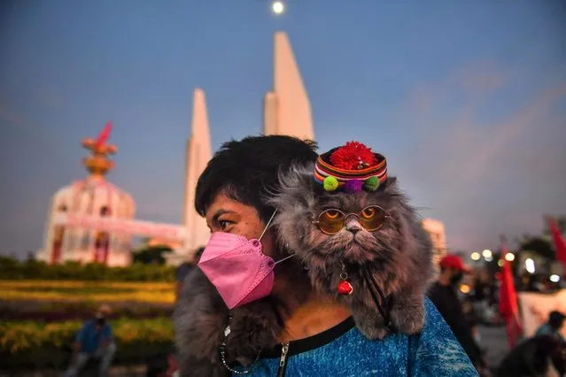 A cat lies across the shoulders of a protester during a demonstration calling for the resignation of Thailand's Prime Minister Prayut Chan-O-Cha over the government's handling of the Covid-19 coronavirus crisis in Bangkok on August 18, 2021. (Photo by Lillian Suwanrumpha/AFP Photo)