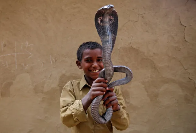 Ravi Nath poses for a photograph with a cobra snake in Jogi Dera (Snake charmers settlement), in the village of Baghpur, in the central state of Uttar Pradesh, India November 10, 2016. (Photo by Adnan Abidi/Reuters)