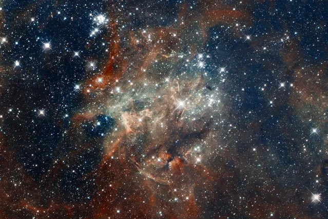 Star cluster NGC 2060, a loose collection of stars in 30 Doradus, located in the heart of the Tarantula Nebula 170,000 light-years away in the Large Magellanic Cloud, a small, satellite galaxy of our Milky Way. (Photo by Reuters/NASA/European Southern Observatory/Space Telescope Science Institute/Hubble Space Telescope)