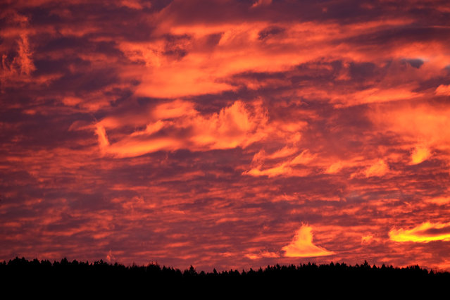 A flame-red evening sky over Westerlinde near Salzgitter, Germany, is lilluminated by the setting sun on 19 Janaury 2016. (Photo by Peter Steffen/EPA)