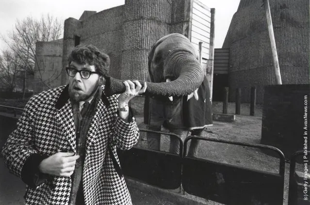 1967: Rolf Harris puts his ear to an elephant's trunk at London Zoo