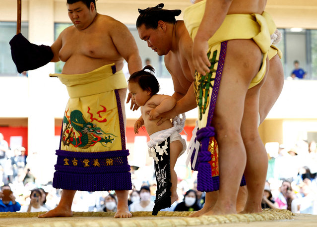 Mongolian-born grand sumo champion Yokozuna Terunofuji takes part in a ring entering ceremony with his son Temujin at the “Honozumo” ceremonial sumo tournament at the Yasukuni Shrine in Tokyo, Japan on April 15, 2024. (Photo by Issei Kato/Reuters)