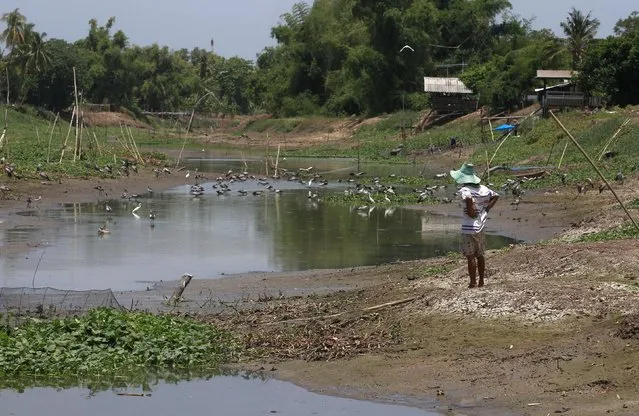 A villager watches a dry canal in Suphan Buri province, west of Bangkok, Thailand July 10, 2015. In Thailand's central province of Suphan Buri farmers are becoming increasingly desperate for water to irrigate their parched fields as the rice-producing nation suffers its worst drought in more than a decade. (Photo by Chaiwat Subprasom/Reuters)