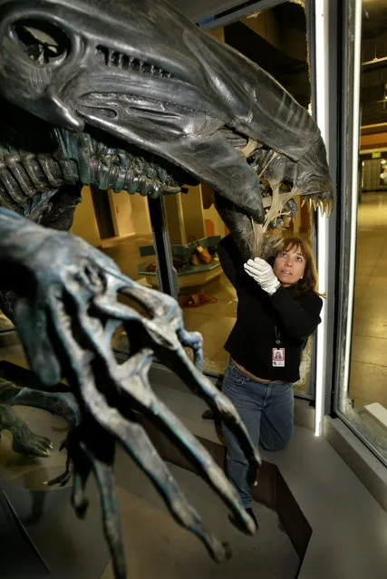Science Fiction Museum and Hall of Fame collections manager Michele Wallace works on the installation of the 18-foot Alien Queen Mother from the movie Aliens during preparations in Seattle on May 7, 2004 for the museum's grand opening on June 18. (Photo by Anthony P. Bolante/Reuters)