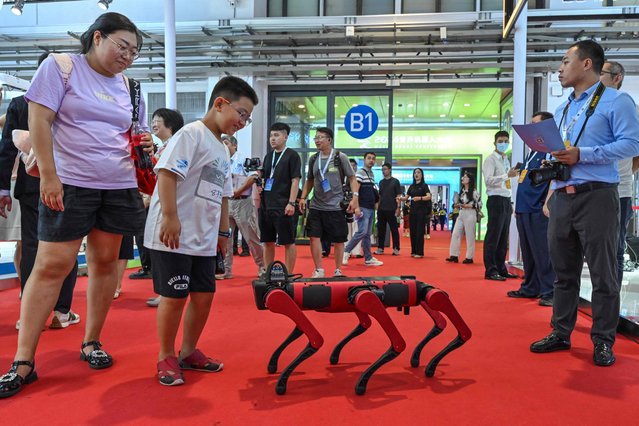 A boy looks at a robotic dog during the World Robot Conference in Beijing on August 21, 2024. (Photo by Adek Berry/AFP Photo)