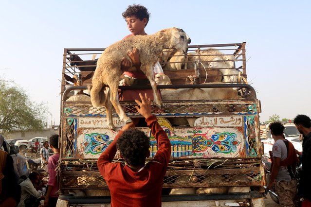 Yemenis load a sheep onto a truck at a livestock market south in Hays, south of Hodeidah on May 27, 2024. (Photo by Khaled Ziad/AFP Photo)