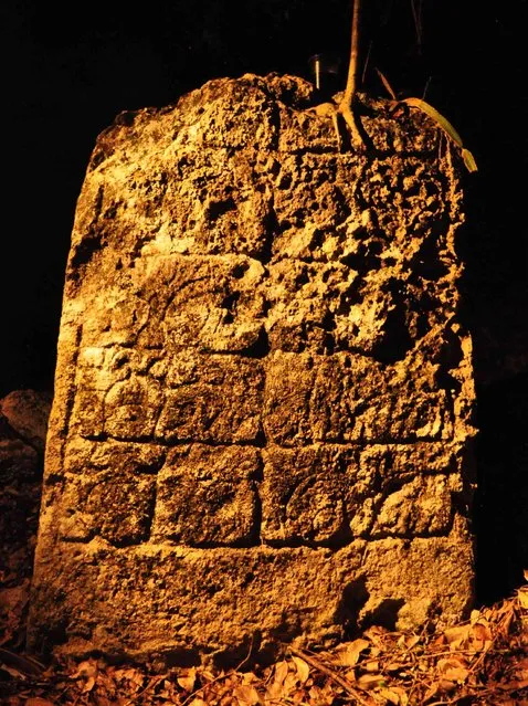 A photograph released to Reuters on August 22, 2014 shows a piece of a stela from an ancient Mayan city in Lagunita May 18, 2014. (Photo by Reuters/Research Center of the Slovenian Academy of Sciences and Arts)