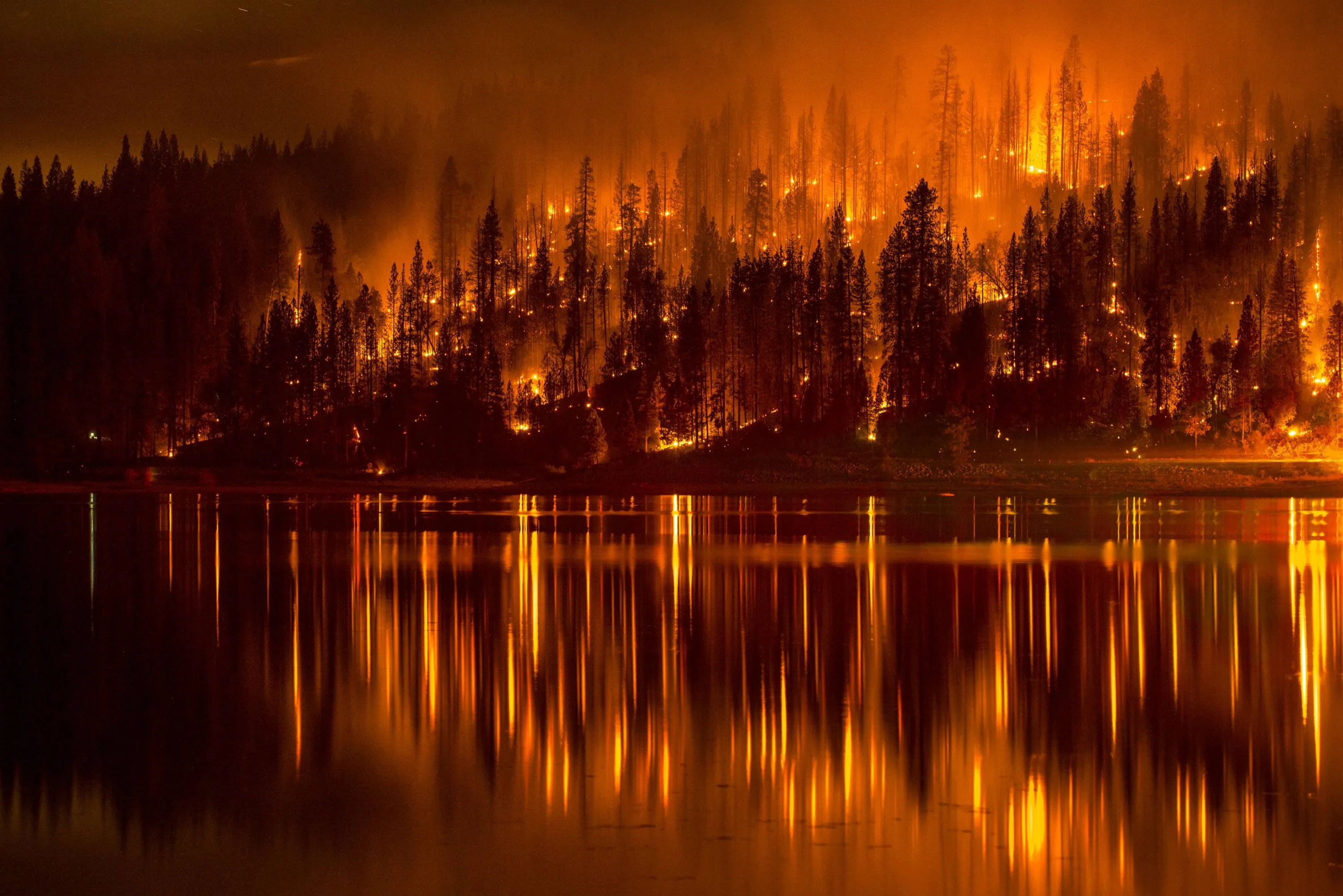 Огни пожарищ. Горящий лес. Лесные пожары. Лес в огне. Горящий Лис.