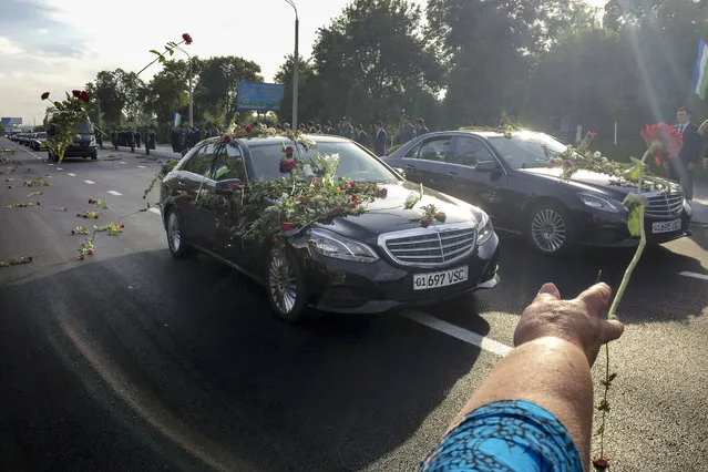 People throw flowers on limousines as they gather along a road to watch the funeral procession of President Islam Karimov in Tashkent, Uzbekistan, early Saturday, September 3, 2016. Karimov has died of a stroke at age 78, the Uzbek government announced Friday. (Photo by Umida Akhmedova/AP Photo)