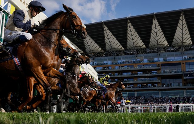Runners in the Copper Horse Stakes start from the stalls in front of the main stand at the 2025 Royal Ascot horseracing festival in England on June 19, 2025. (Photo by Tom Jenkins/The Guardian)
