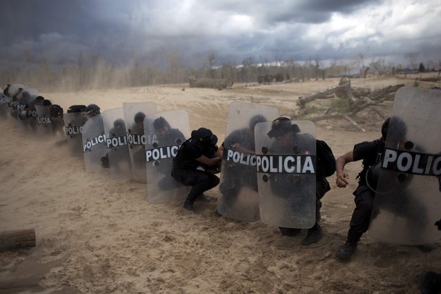 In this November 12, 2014 photo, policemen use their shields to protect themselves from dust clouds stirred by a landing helicopter, after taking part in an operation to eradicate illegal gold mining camps in the area known as La Pampa, in Peru's Madre de Dios region. (Photo by Rodrigo Abd/AP Photo)