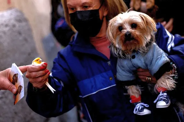 A woman holds her canary and dog to be blessed at San Anton Church during celebrations on the feast of Spain's patron saint of animals, Saint Anthony, in Madrid, Spain on January 17, 2023. (Photo by Susana Vera/Reuters)