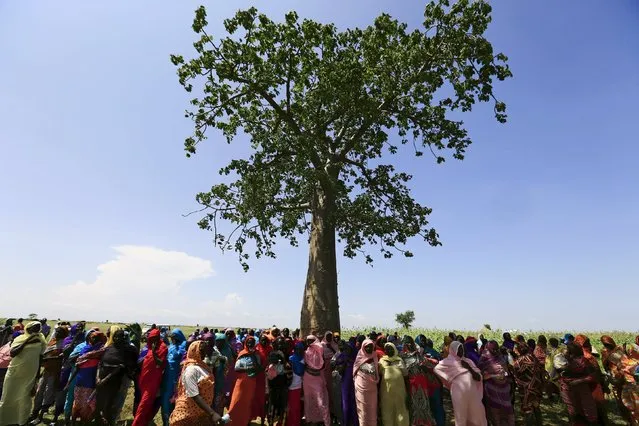 Displaced people gather to receive food provided by the United Nations' World Food Programme (WFP) during a visit by a European Union delegation, at an Internally Displaced Persons (IDP) camp in Azaza, east of Ed Damazine, capital of Blue Nile state, Sudan October 21, 2015.  The camp houses people displaced by war between the Sudan People's Liberation Movement-North (SPLM-N) rebels and the Sudanese government. (Photo by Mohamed Nureldin Abdallah/Reuters)