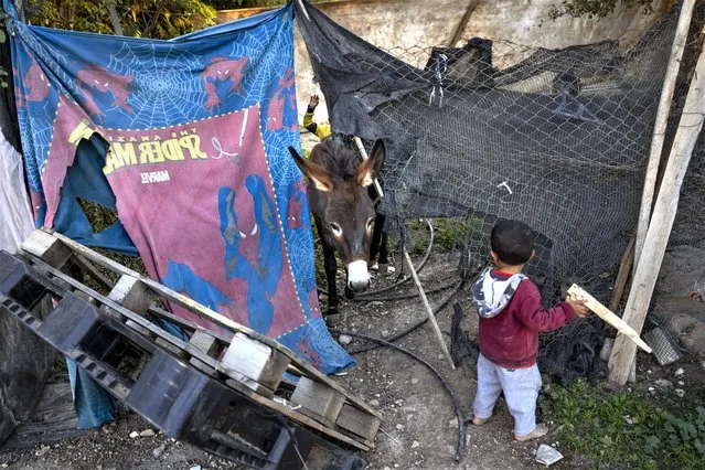 Bedouin kids walk a donkey at the West Bank hamlet of Khan al-Ahmar, Sunday, January 22, 2023. (Photo by Oded Balilty/AP Photo)