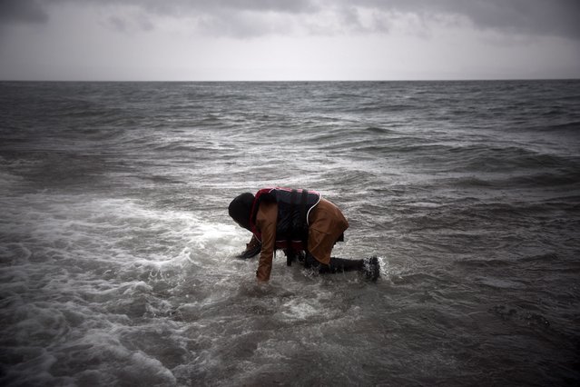 A woman falls in the sea as she arrives on a dinghy from the Turkish coast to the Skala Sykaminias village on the northeastern Greek island of Lesbos, Friday, October 23, 2015. The International Office for Migration says Greece over the last week experienced the largest single weekly influx of migrants and refugees this year, at an average of some 9,600 per day. (Photo by Santi Palacios/AP Photo)