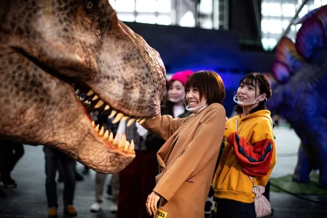 Members of the media touch a moving model of a Tyrannosaurus, which uses a dinosaur-type human-operated mechanical suit called “Dino-Techne” by Japanese firm On-Art, during a media preview of the Dinoa Live Exhibition / Amazing Dinosaur Art Exhibition in the Shinjuku district of Tokyo on December 10, 2020. (Photo by Philip Fong/AFP Photo) 