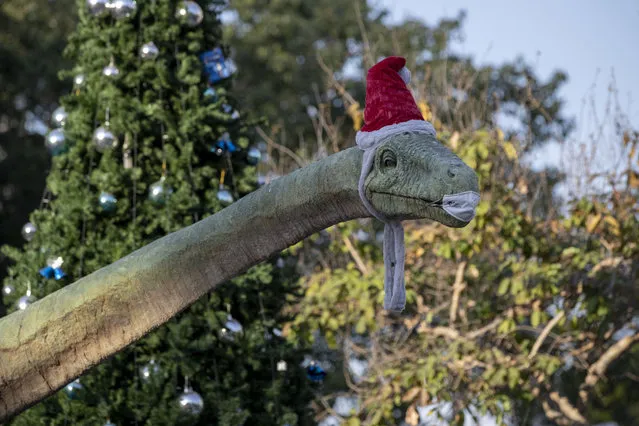 A sculpture of a dinosaurs is dressed with a Santa hat and a face mask in Bangkok, Thailand, Wednesday, December 30, 2020. Officials in the Thai capital have announced new restrictions, including the closure of some entertainment facilities during the New Year's holiday, as infections continued to rise following a recent coronavirus outbreak. (Photo by Gemunu Amarasinghe/AP Photo)